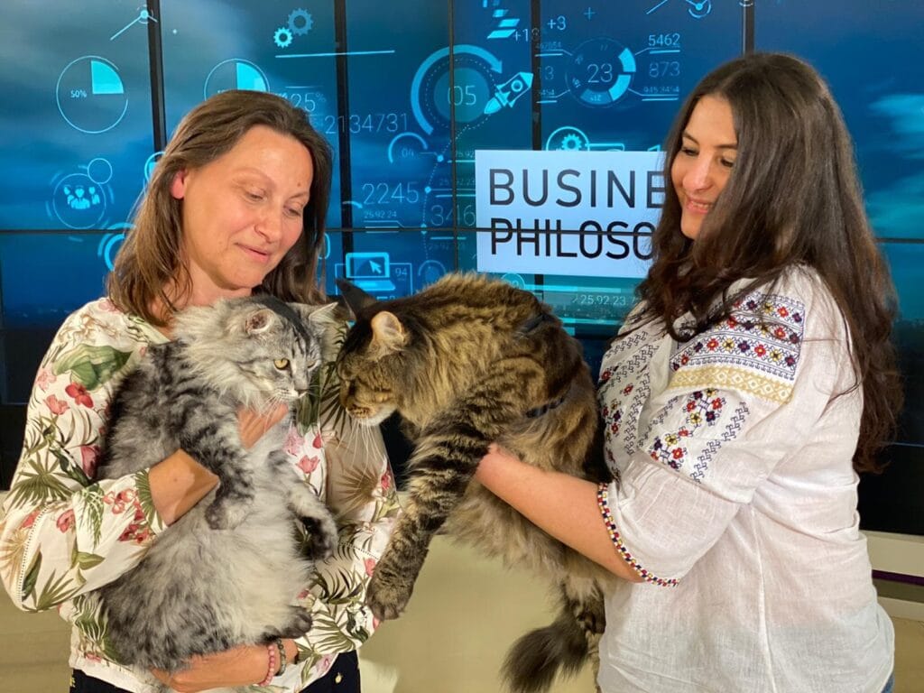Alegeri potrivite la superlativ! Terapia emoțiilor pentru animale si Pisicile Maine Coon