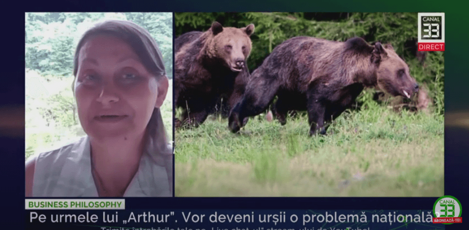 Alegeri potrivite. Pe urmele ursului – nu cel din padure, ci din interiorul nostru