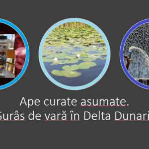 „Ape curate asumate” – Surâs de vară ȋn Delta Dunarii