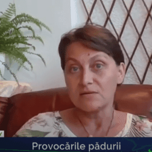 Alegeri potrivite pentru sustinerea unei perceptii unitare asupra padurii, ca organism viu