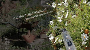 O zi din magia toamnei. Inspiratia #focustogreenecolife la final de vacanta