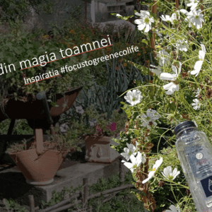 O zi din magia toamnei. Inspiratia #focustogreenecolife la final de vacanta