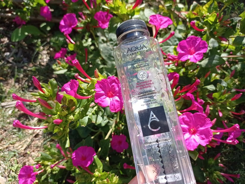 Magia toamnei cu recolte si apa din belsug #focustogreenecolife