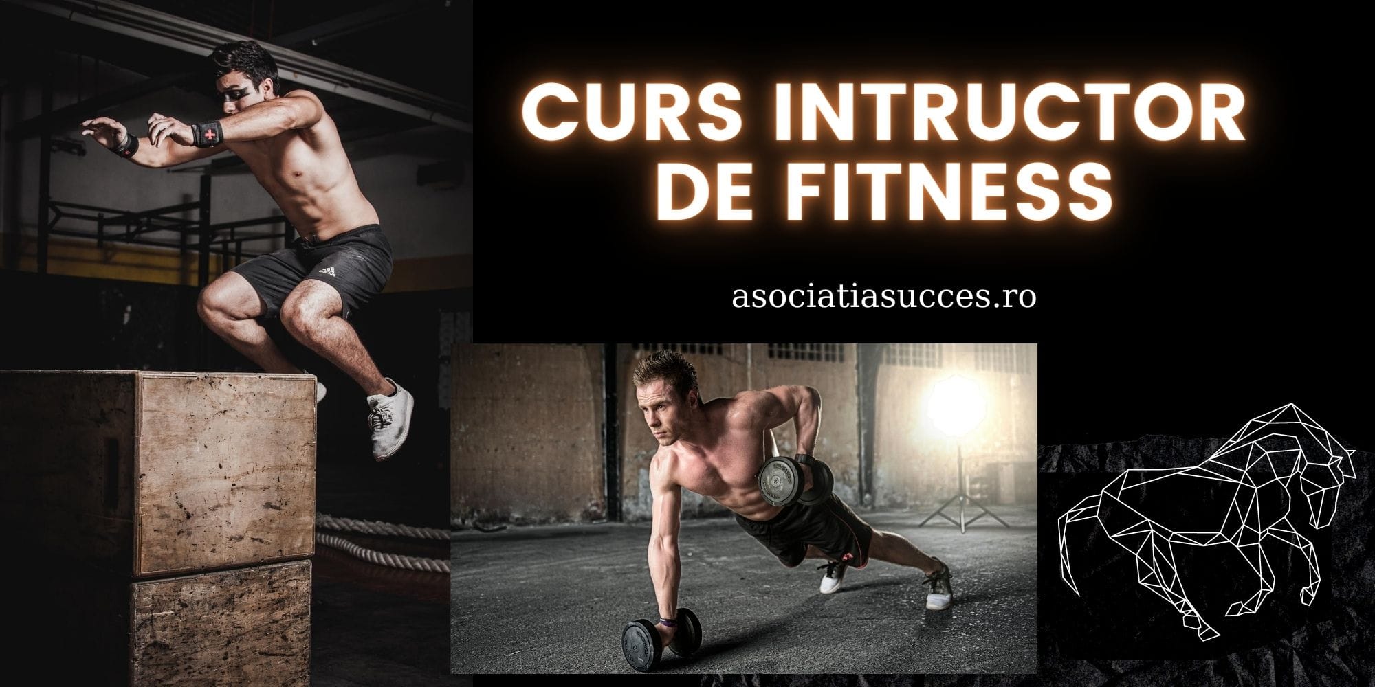Cursuri autorizate de Instructor fitness și personal trainer