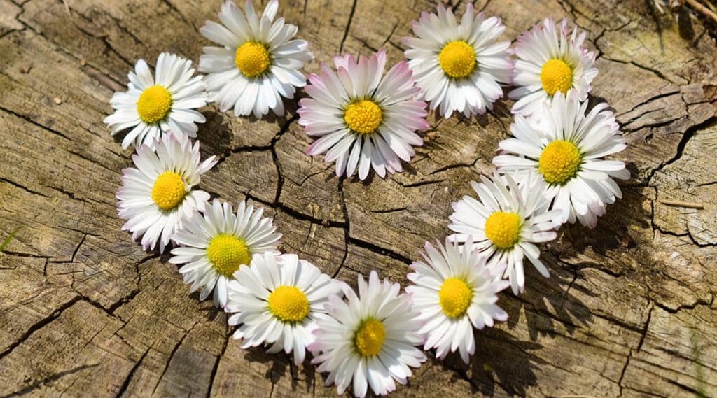 “Inima este ca și vântul. Există atâta timp cât bate…