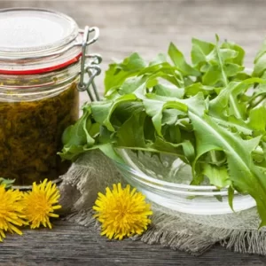 Plante care ne readuc pofta de mancare