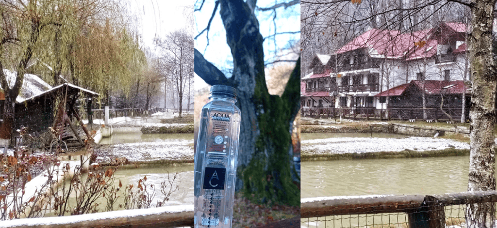 Bucuria verde cu #focustogreenecolife de Ziua Internationala a Voluntariatului