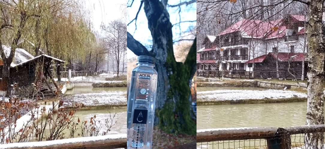 Bucuria verde cu #focustogreenecolife de Ziua Internationala a Voluntariatului