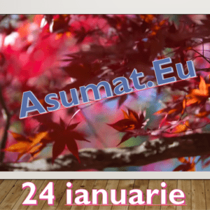 24 ianuarie Asumat.Eu – Alegeri potrivite pentru om si suflet