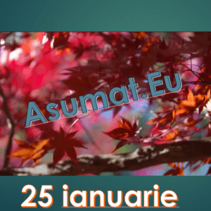 25 ianuarie Asumat.Eu – Alegeri potrivite pentru om si suflet