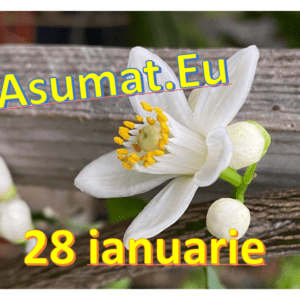 28 ianuarie Asumat.Eu – Alegeri potrivite pentru om si suflet