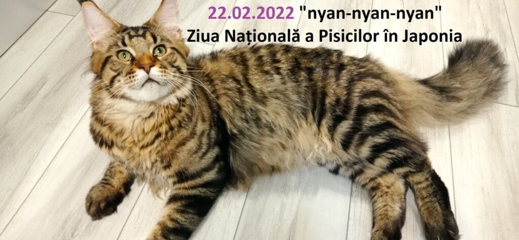 22.02.2022 „nyan-nyan-nyan”  Ziua Națională a Pisicilor în Japonia