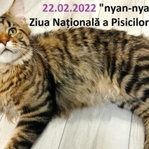 22.02.2022 „nyan-nyan-nyan”  Ziua Națională a Pisicilor în Japonia