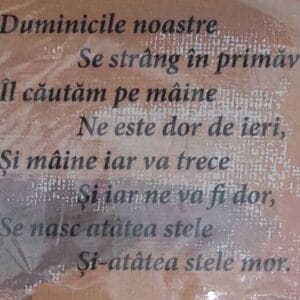 Literatura nu are granițe. 3 martie – Ziua mondială a scriitorilor