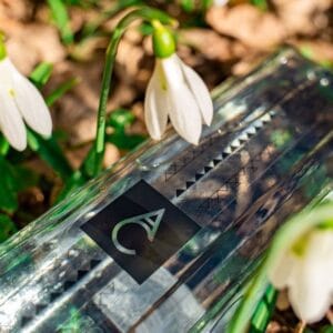 Aqua Carpatica, lider în topul celor mai vizibile branduri de apă în online și pe Facebook din luna februarie