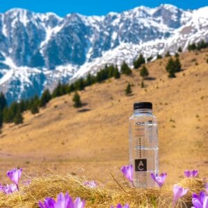 Aqua Carpatica –  lider în topul celor mai vizibile branduri de apă în online din luna aprilie