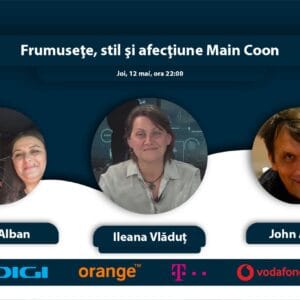 Concurenţa felină. Frumuseţe, stil şi afecţiune Main Coon