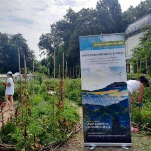 Sămȃnţa are nevoie de apă pentru a prinde viaţă