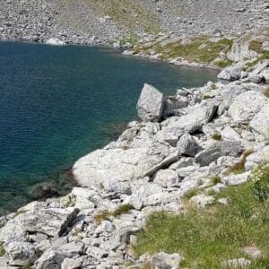 Ziua Internationala a prieteniei: astrele sustin vocea apelor curate asumate