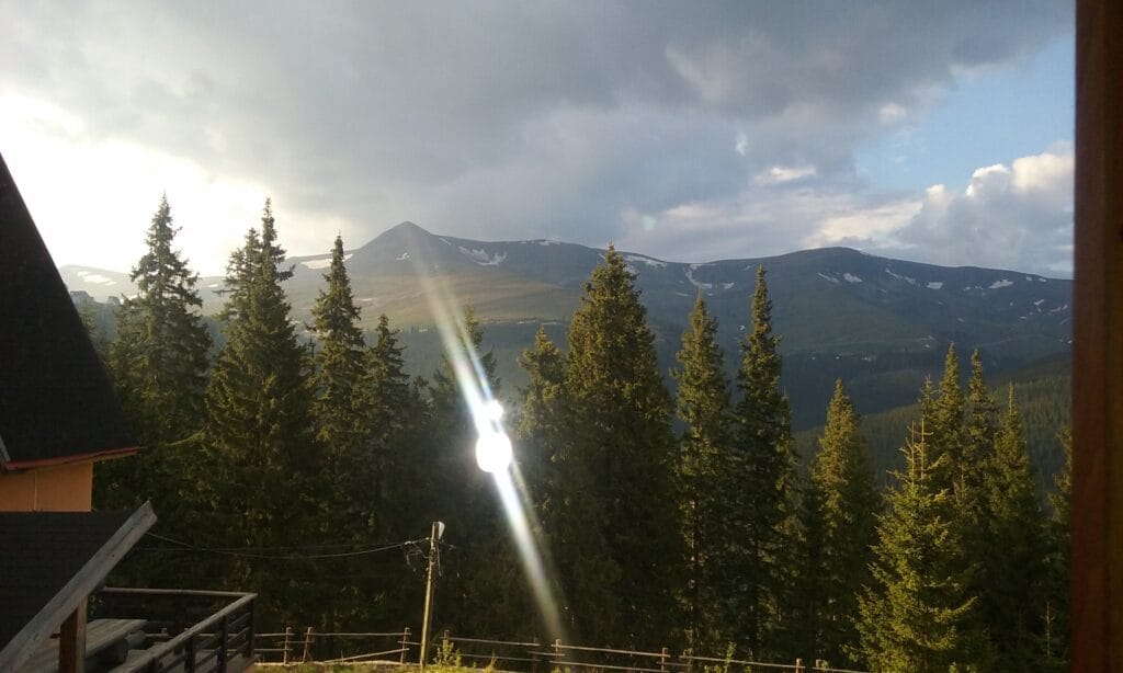 “Focus to Green-Eco-life” de Ziua Internațională a Grădinilor Zoologice și a Parcurilor – 9 august