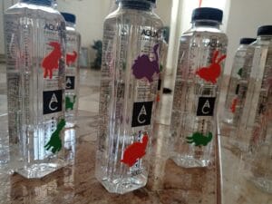 Prin parcuri şi grădini cu apă şi animale colorate – accesorii #focustogreenecolife