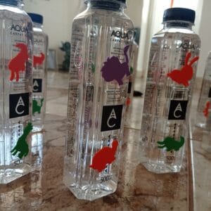 Prin parcuri şi grădini cu apă şi animale colorate – accesorii #focustogreenecolife