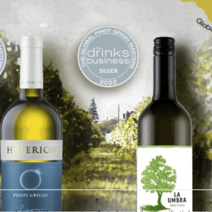 Medalii obținute de vinurile din portofoliul Alexandrion Group la Pinot Grigio Masters 2022