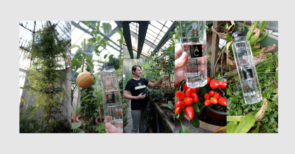 PLIMBARE creativă. Mişcare, curăţenie, apă, păpuşi şi flori #focustogreenecolife