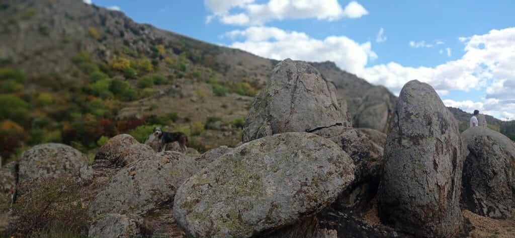 „Focus to green eco life” aduce munţii mai aproape de cei mici. 11 decembrie – Ziua Internațională a munților