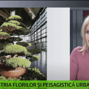 Recomandǎri pentru grǎdina personalǎ. Bonsai Landscape & Design. Emisiune Business Philosophy