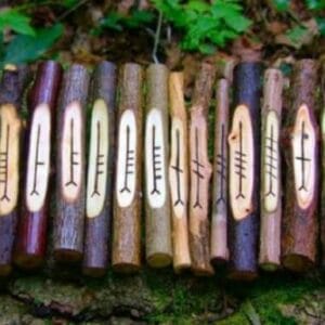 Horoscopul Arboricol si Floral.  Perioade si caracteristici definitorii