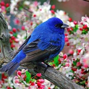Zile dedicate Păsărilor şi Arborilor: Săptămana lunii mai cu #focustogreenecolife