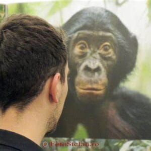 Doar azi ne mai desparte de Ziua mondială a libertății presei. Expoziția internaţională anuală World Press Photo