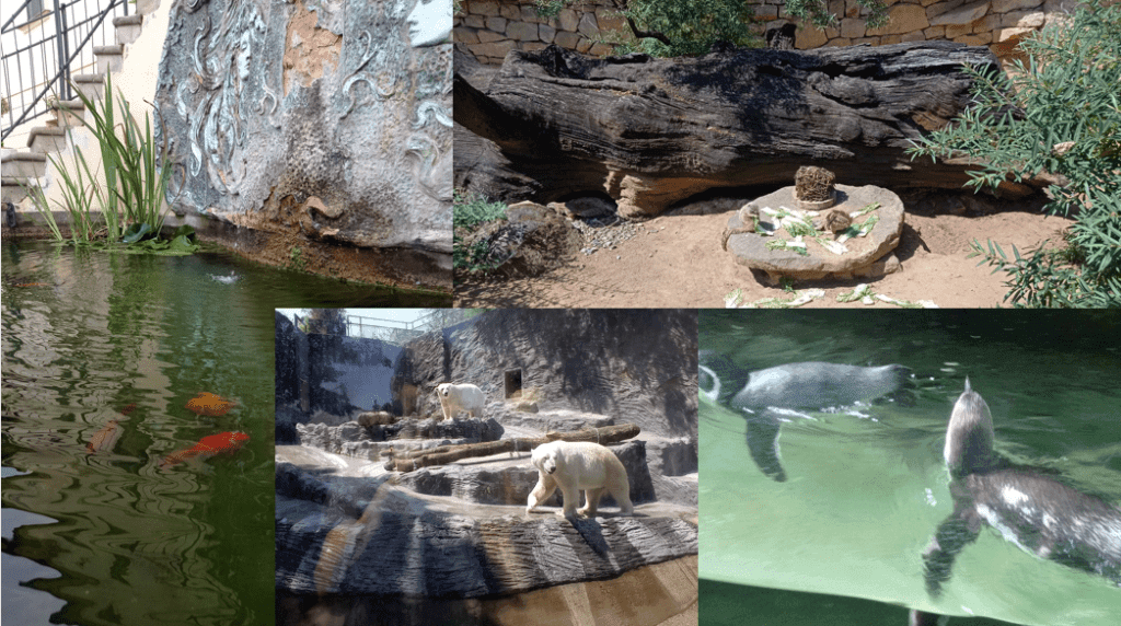 “Focus to Green Eco Life” de Ziua Internațională a Grădinilor Zoologice și a Parcurilor, 9 august