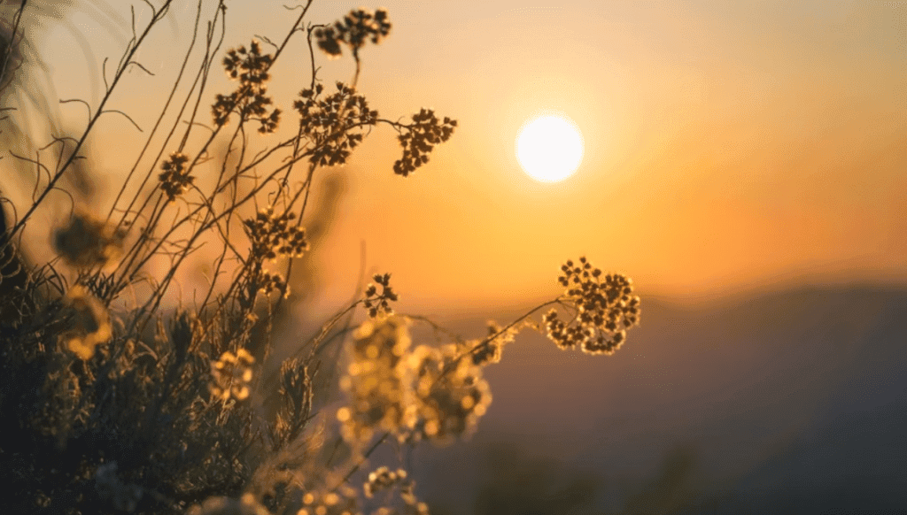 Echinocțiul de toamnă 2023. Când începe toamna astronomică