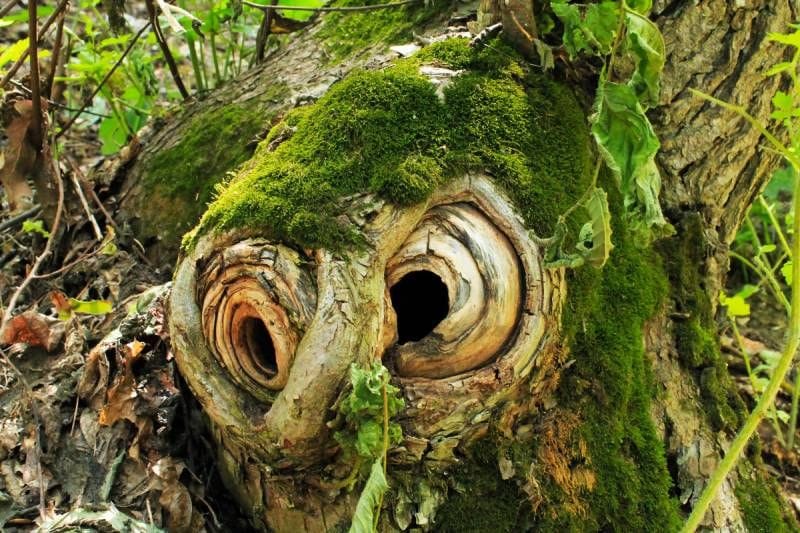 Râsul și umorul sunt precum sarea și piperul vieții