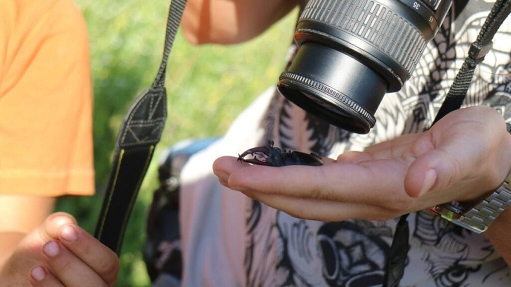 Arta fotografică. De ce fotograful este un artist