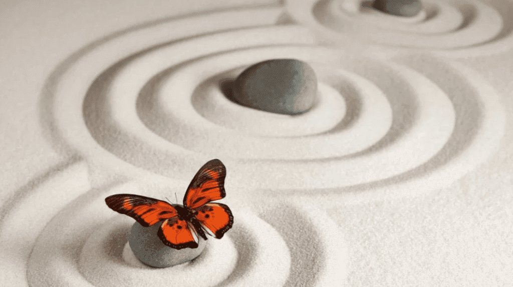 Cȃteva Sfaturi şi proverbe Zen adunate