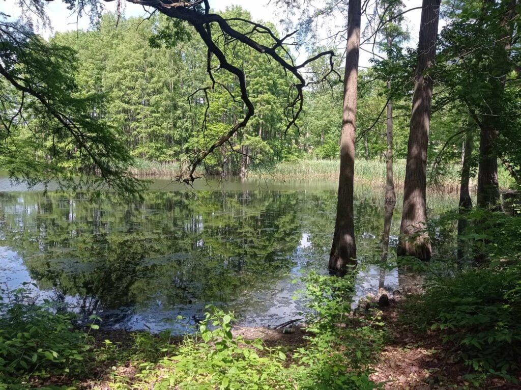 „Protejati insectele, protejati Păsările”.11 mai, Ziua Mondială a Păsărilor Migratoare