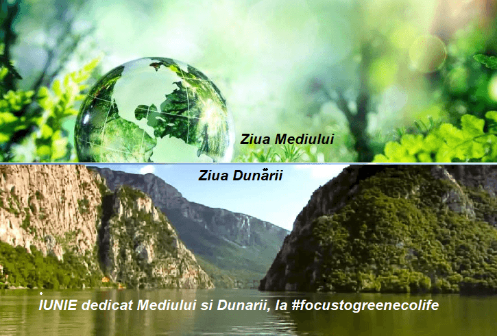 Mediul şi Apa ne ocrotestc; copiii răspund prin #focustogreenecolife