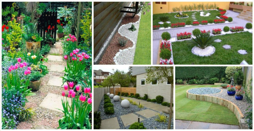 Poți planta în grădină 7 plante veșnic verzi