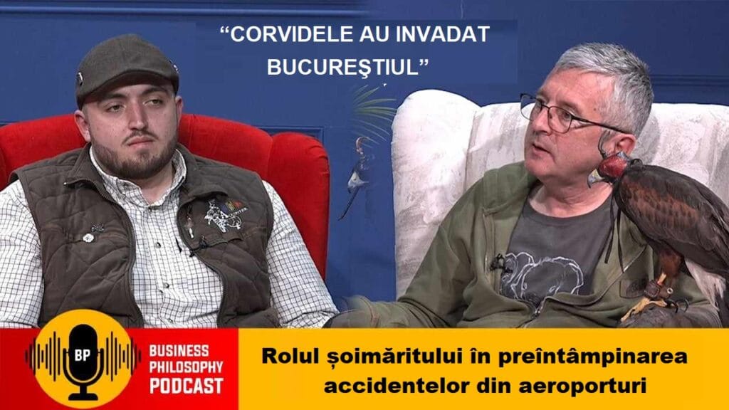Rolul șoimăritului în preîntâmpinarea accidentelor din aeroporturi