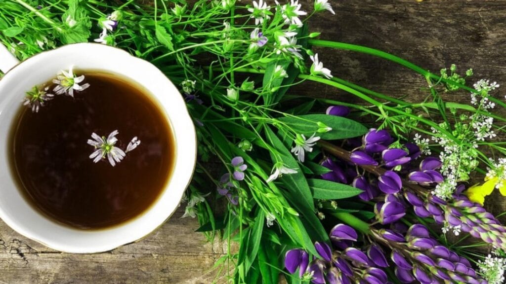 Detoxifierea ficatului în 6 pași simpli