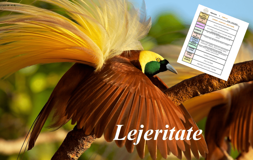 Adu mai multă lejeritate ȋn viaţa ta. Fără dorinţe fanteziste treci cu detaşare prin Cheia 30