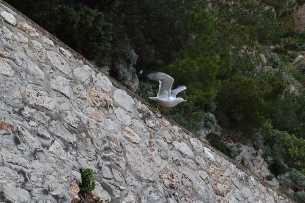 Revin-o la respiraţie. Cum ȋţi transformi controlul ȋn autoritate