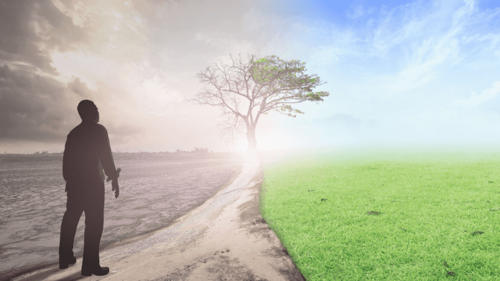 Cum să-ţi ȋmbunătăţeşti calitatea vieţii