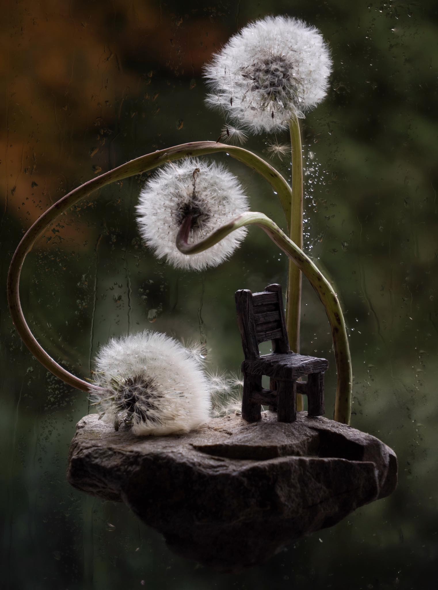 INTERFERENŢǍ sau COLABORARE?