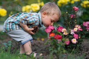 Crește-ți gradul de comuniune cu oamenii și mediul în care trăiești