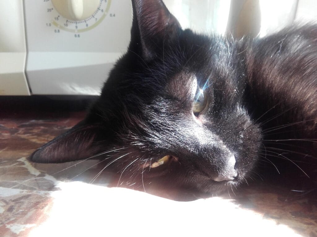 Cum poţi depǎşi starea de inadecvare cu abilitate şi ȋnţelepciune