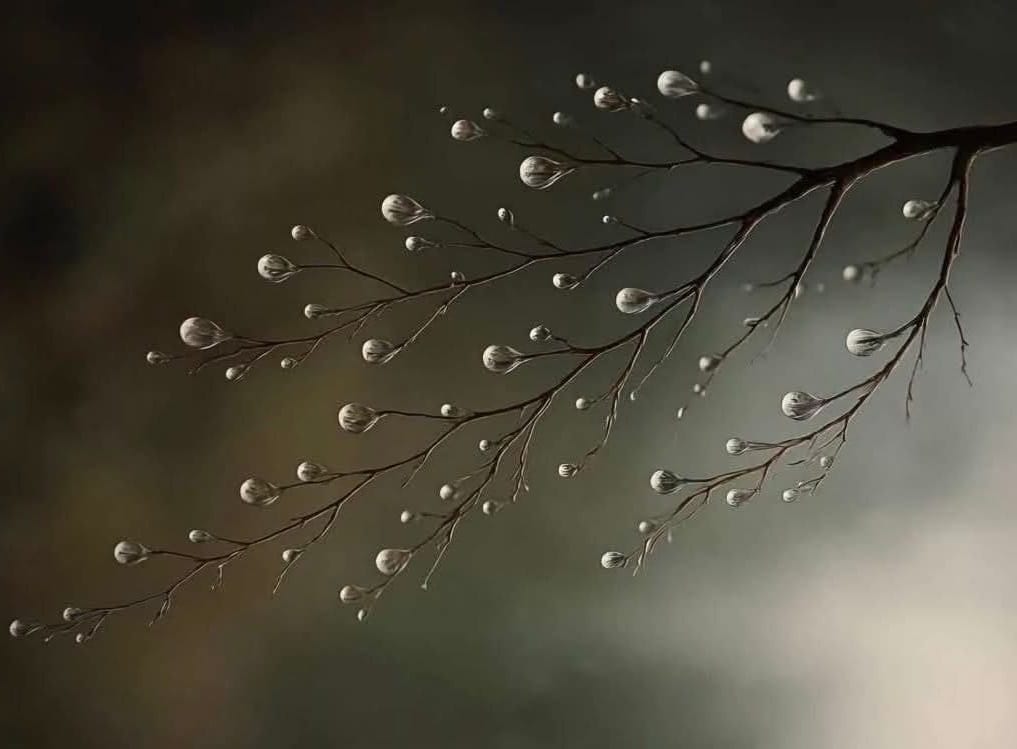 Cum te distrezi când plouă afară, chiar dacă vremea nu e ideală